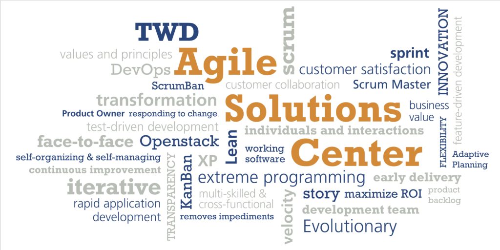 TWD Agile Solutions Center wordcloud